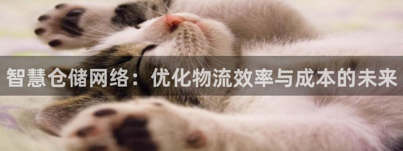 ,优游国际链接来一个：智慧仓储网络：优化物流效率与成本的未来