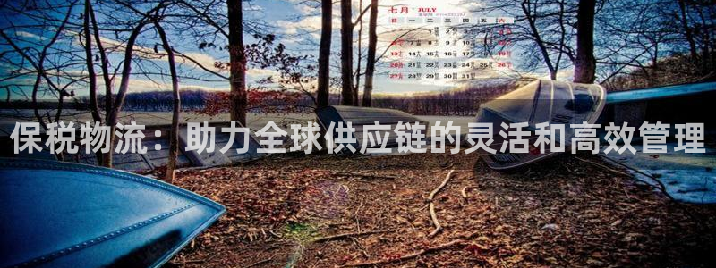 ,优游国际加拿大是什么：保税物流：助力全球供应链的灵活和高效