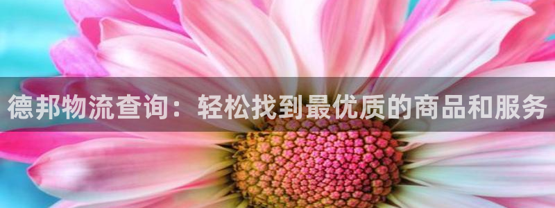 优游国际官网下载：德邦物流查询：轻松