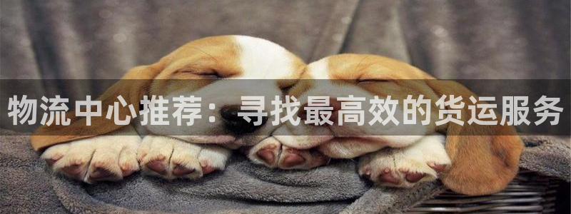 ,优游国际注册登录流程：物流中心推荐：寻找最高效的货运服务