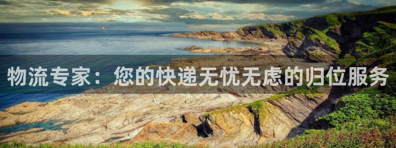 优游国际官网入口正版：物流专家：您的