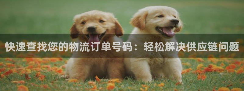 ,优游国际注册号：快速查找您的物流订