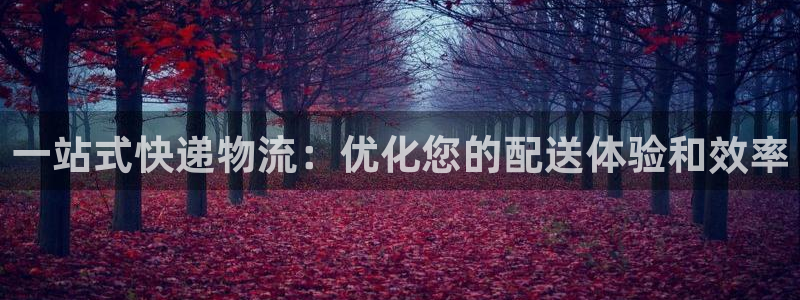 ,优游国际违法吗：一站式快递物流：优
