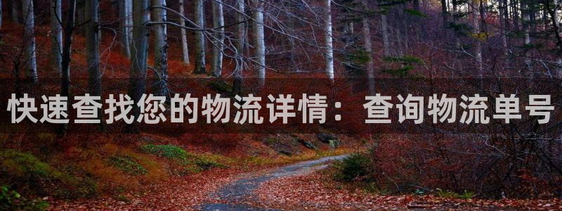 ,优游国际怎么下载：快速查找您的物流详情：查询物流单号