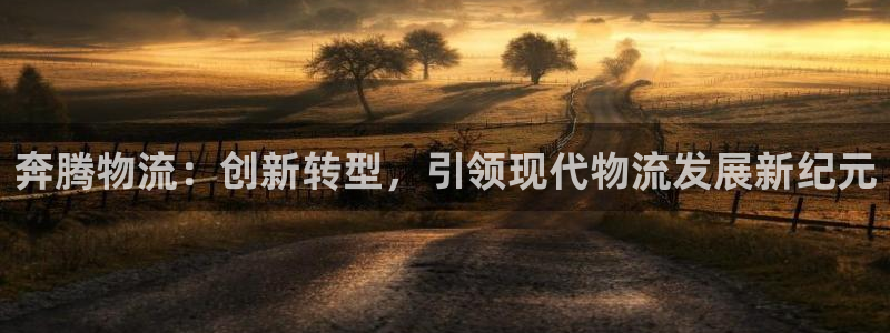 优游国际官网下载谁有：奔腾物流：创新