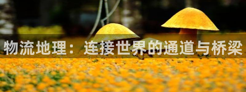 ,优游国际注册过了警察知道吗：物流地