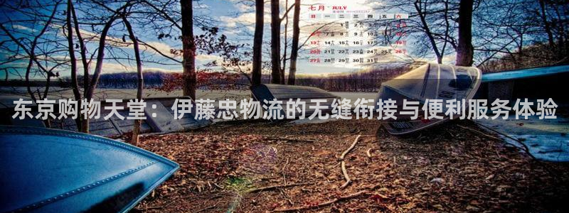 优游国际官网入口官网：东京购物天堂：
