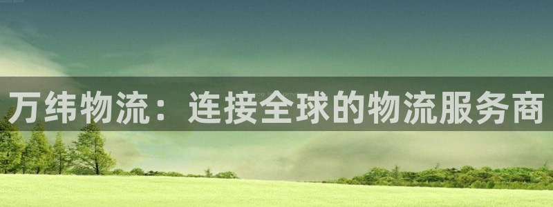 ,优游国际怎么注册：万纬物流：连接全