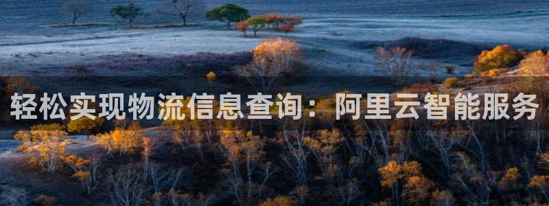 ,优游国际app怎么注册账号：轻松实