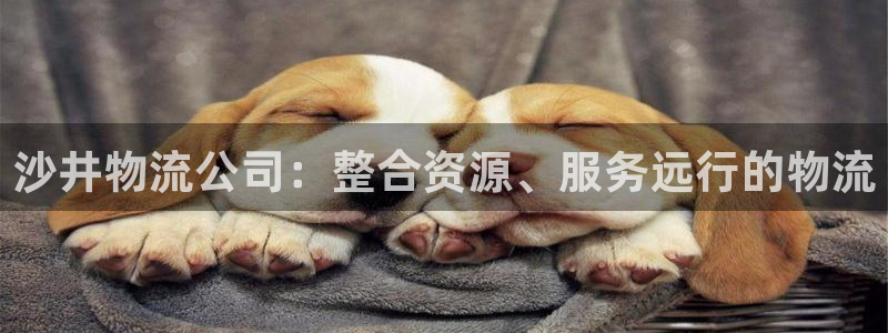 ,优游国际流水怎么算：沙井物流公司：