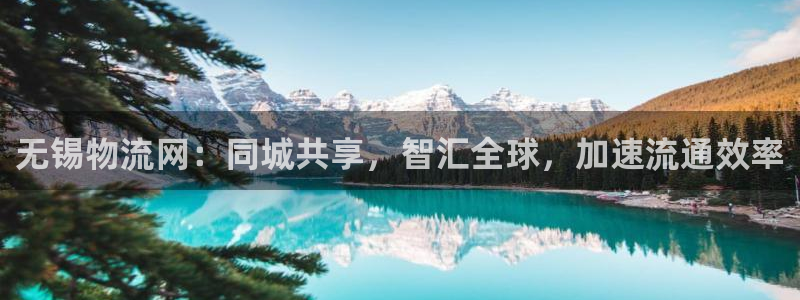 ,优游国际为什么没有赢过一次：无锡物