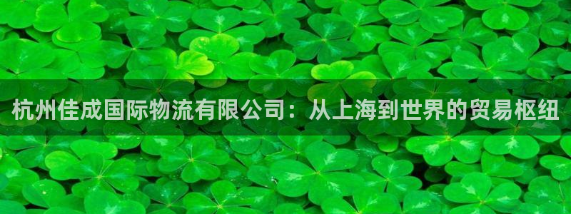 ,优游国际人工客服电话是什么：杭州佳成国际物流有限公司：从上