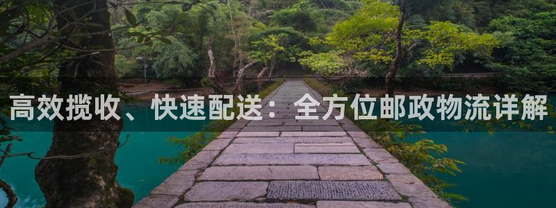 ,优游国际登录用户名登录不上：高效揽