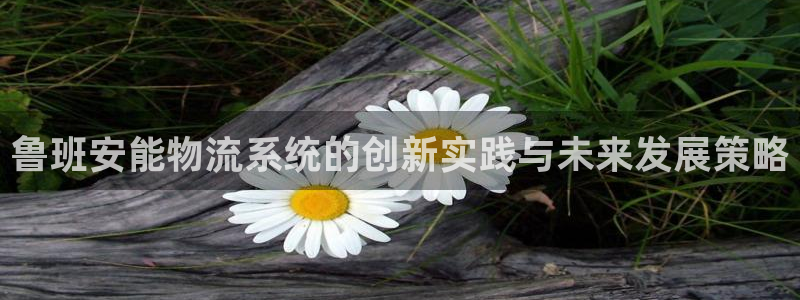 ,优游国际分分28输了能不能退：鲁班