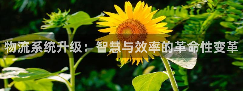 ,优游国际激活码：物流系统升级：智慧