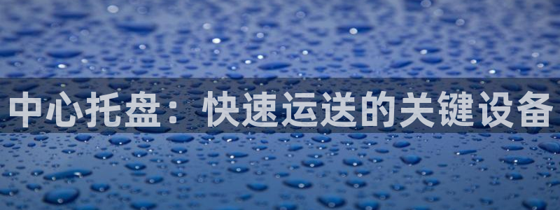 ,优游国际百度百科：中心托盘：快速运
