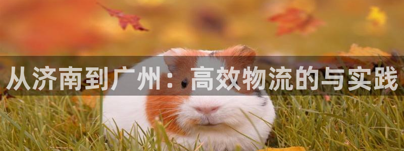 ,优游国际退款教程：从济南到广州：高