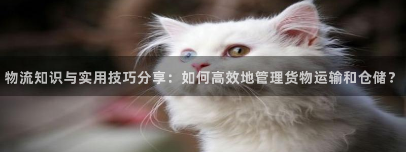,优游国际娱乐官网网页：物流知识与实