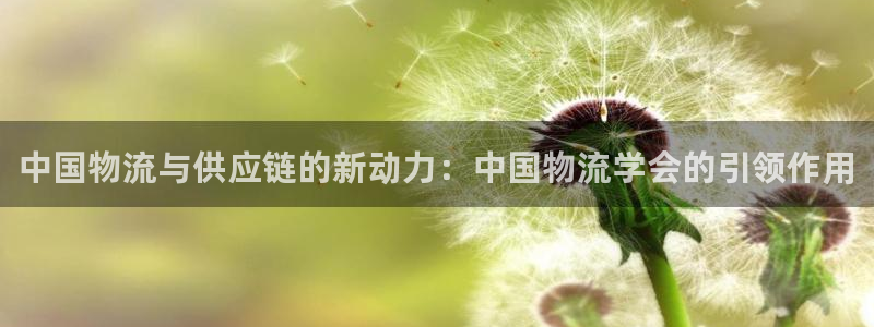 ,优游国际链接：中国物流与供应链的新