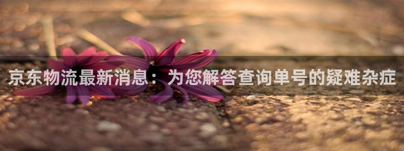 ,优游国际怎么申请代理：京东物流最新