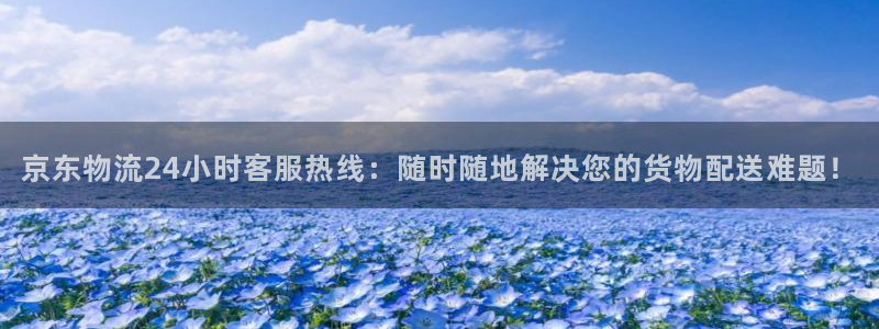 ,优游国际充值不到账怎么办：京东物流