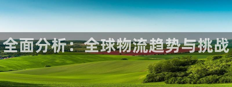 ,优游国际黑款：全面分析：全球物流趋