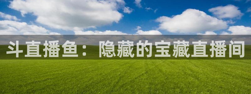 9255tv直播nba在线观看