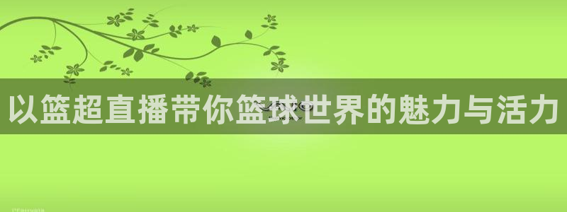 9255tv直播nba在线直播：以篮超直播带你篮球世界的魅力与活力