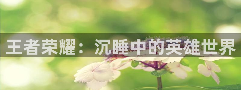 新闻图片