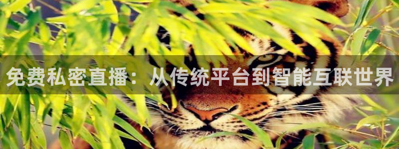 9255tv直播nba在线直播：免费私密直播：从传统平台到智能互联世界
