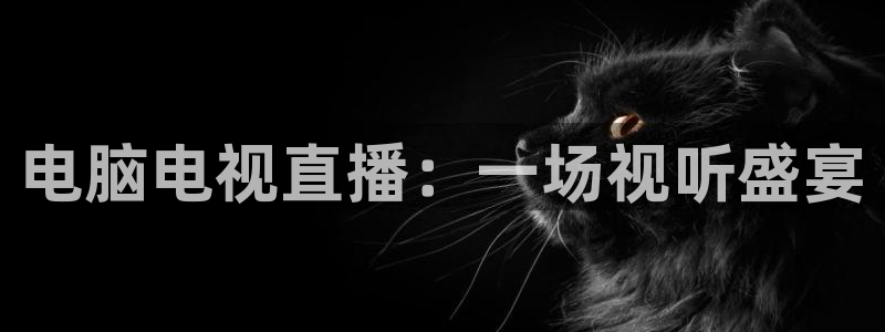 9255tv直播无插件nba：电脑电视直播：一场视听盛宴